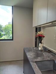 Leedon Green (D10), Condominium #566603031